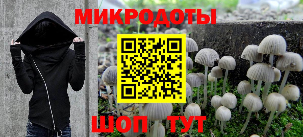 Галлюциногенные грибы мухоморы Кимры