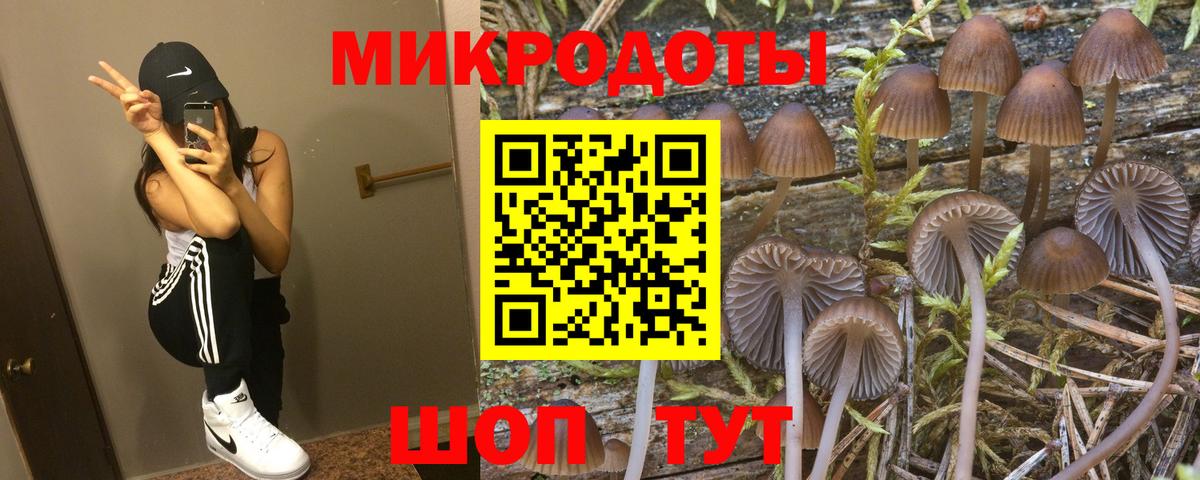 где найти   Псилоцибиновые грибы Magic Shrooms  Кимры  Вход с VPN  Псилоцибиновые грибы Magic Shrooms 